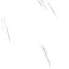 CARRARA SNOW_3 copy