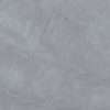 PULPIS PIGEON 1
